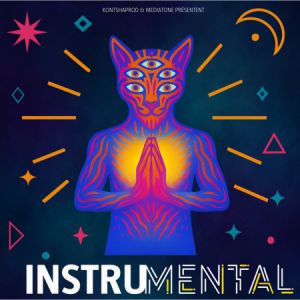 Instrumental